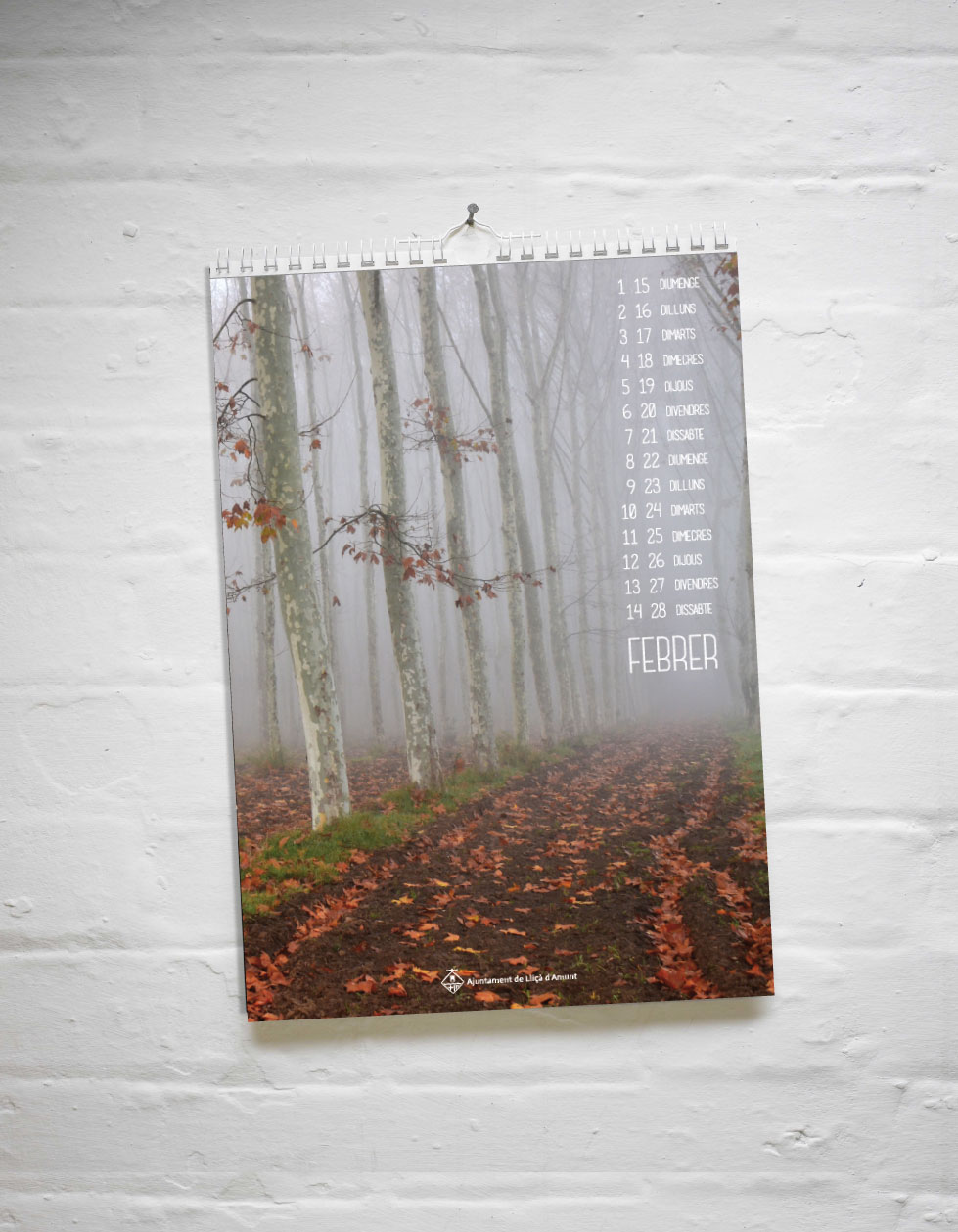 Deo Studio Catàlegs